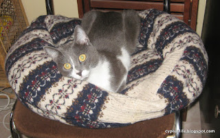 Lady Jane Grey, the petite grey cat, spread out in the large home-made cat bed