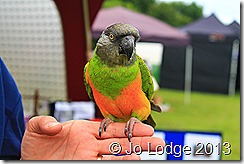 IMG_4380
