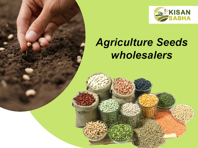 Agriculture seeds exporters