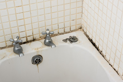 bathroom cleaning, bathroom mold, Clean Shower Doors, grout sealing, exhaust fan, shower curtains, Plumbing Nassau County