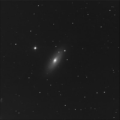 RASC Finest galaxy NGC 2841 luminance