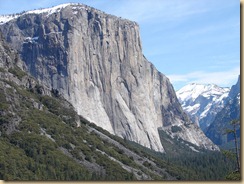 DSC00101