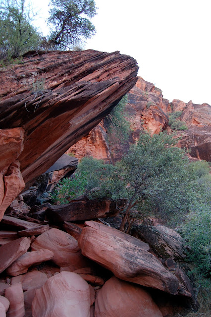 Dramatic Rock Formations and Foliage at Red Cliffs Nature Trail