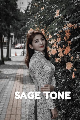 Rumus Dan Tutorial Lightroom CC Sage Tone