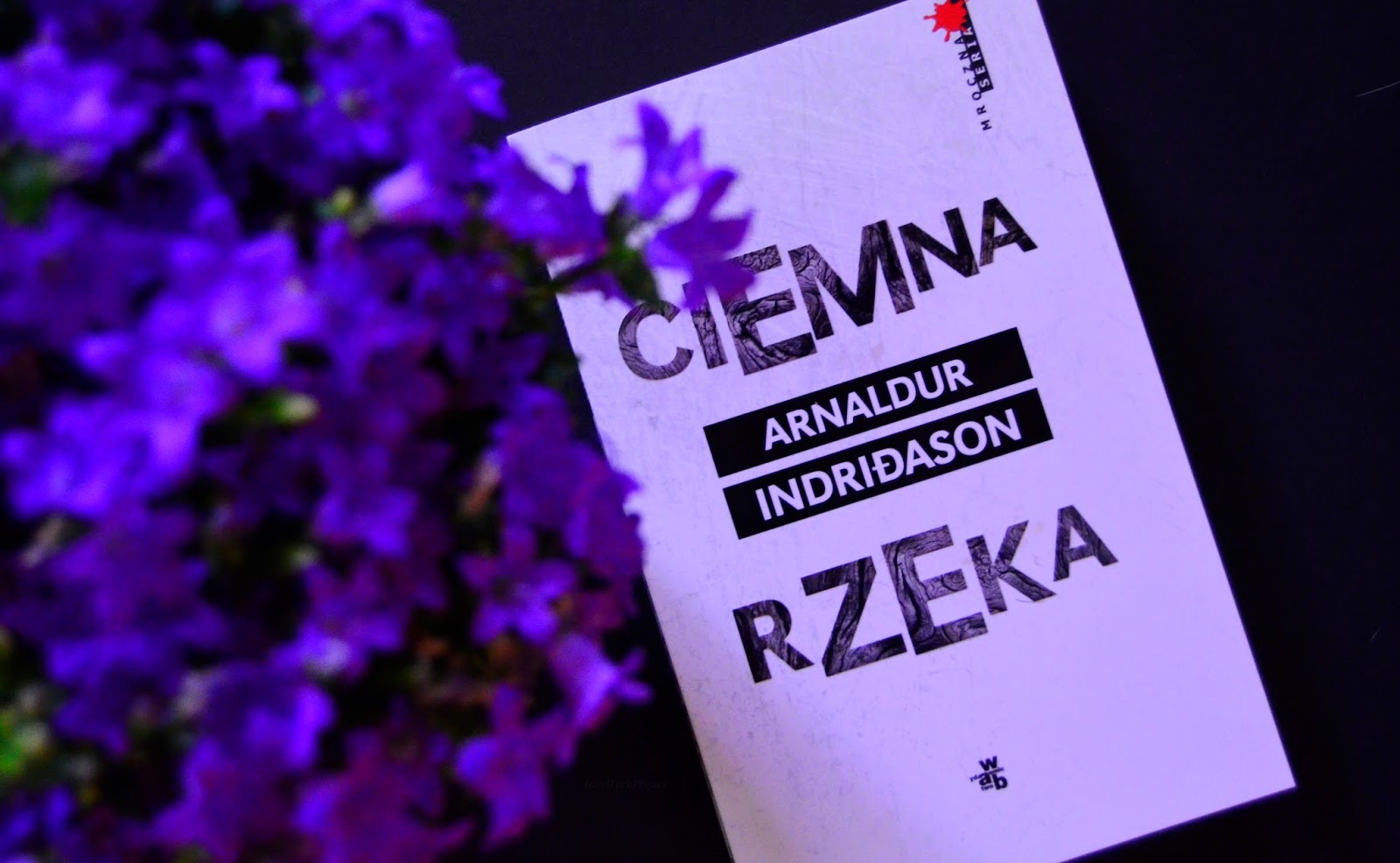 ciemna rzeka | książka | recenzja | kwiat