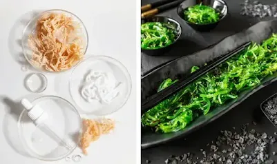 Does sea moss make you last longer in bed?