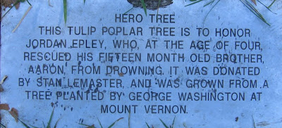 hero tree plaque