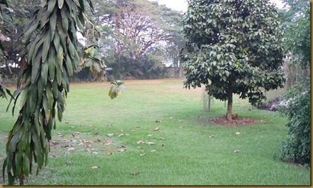 P1130033
