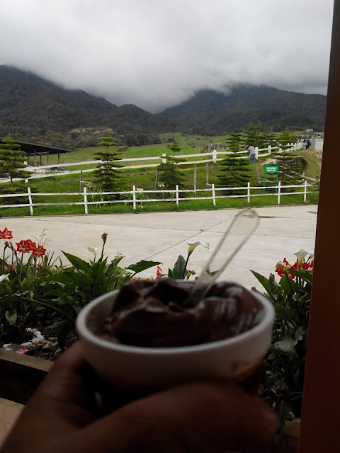 Pengalaman bercuti Sabah di Desa Cattle Farm, Ladang Lembu, Kundasang