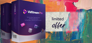 How-to-make-money-with-VidStream-Pro