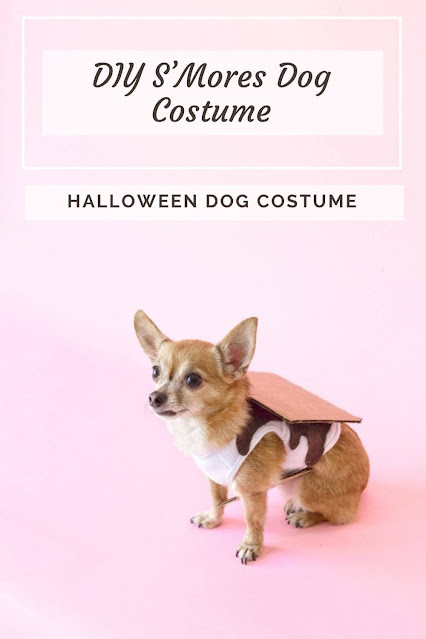 DIY S’Mores Dog Costume