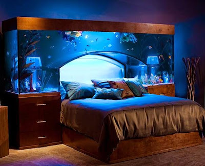 amazing built in aquarium bed