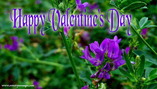 happy valentines day day images