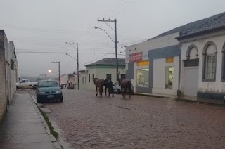 Equinos "passeiam" pelas Ruas Centrais do Município