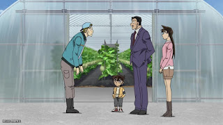 名探偵コナンアニメ 1121話 あぶなすぎるメロン畑 Detective Conan Episode 1121