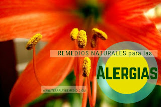 Remedios caseros para la alergia: nasal, primaveral, en la piel, respiratorias. 