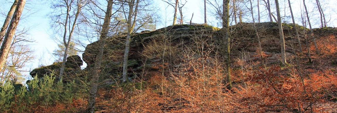 le schloesschen de bellerstein