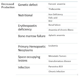 Decreased Production  Genetic defect   Fanconi  anaemia   Thalassemia  Nutritional   Iron Deficiency   Folic acid   B12  Erythropoetin deficiency   Renal failure   Anaemia of chronic illness  Bone marrow failure   Aplastic anaemia  Primary Hemopoetic Neoplasms   Leukemia  Space occupying lesions   Metastatic Tumors   Granulomatous disease  Infection   Parvovirus B19   Chronic infection