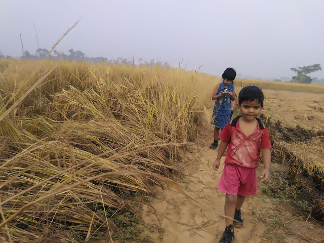 jogging kids in the paddy fields of india