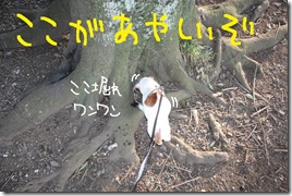 今日カズ１００１１８　８