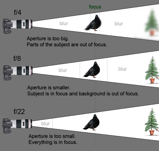 What is Aperture ?