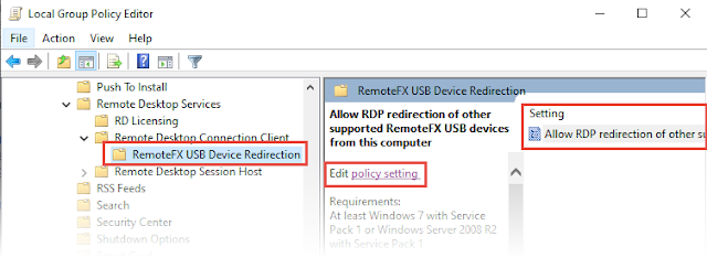 RemoteFX USB Device Redirection