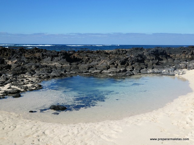 todo lo que se puede ver en Fuerteventura