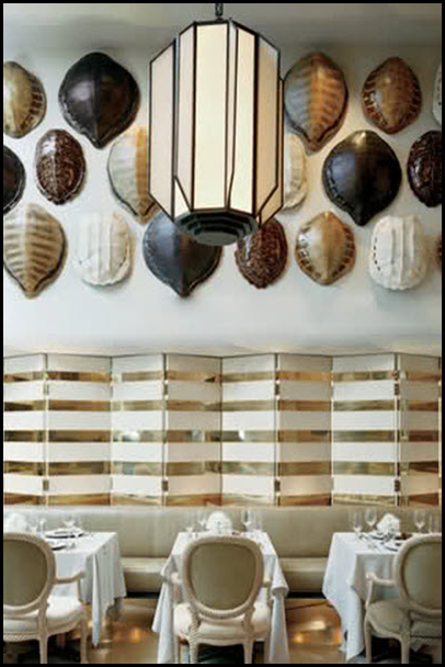 Turtle Shell Wall Decor