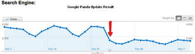 Google Panda result