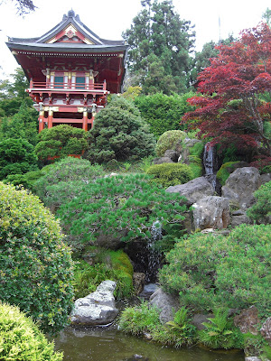 the Japanese tea garden.