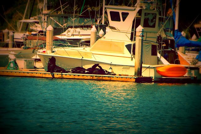 photo editing of the harbor photo