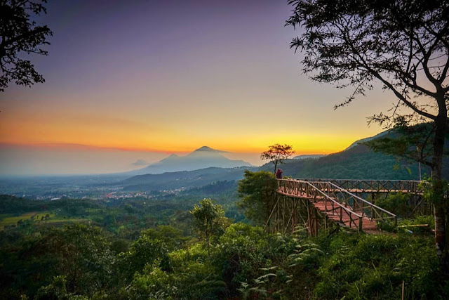 Wisata Mojokerto yang lagi Viral