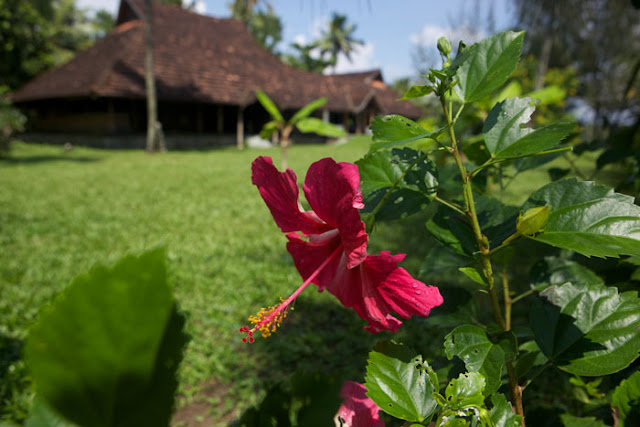 Hotel Finds, Kerala