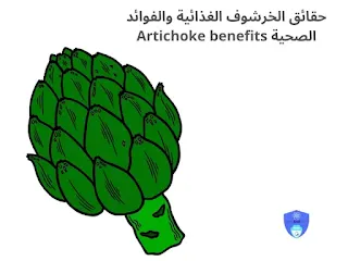 حقائق الخرشوف الغذائية والفوائد الصحية Artichoke benefits