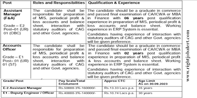 Assistant Manager and Accounts Officer Job Opportunities in Central Electronics Limited