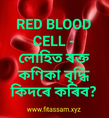 লোহিত ৰক্ত কণিকা কিদৰে বৃদ্ধি কৰিব?- How to increase red blood cell? -in assamese