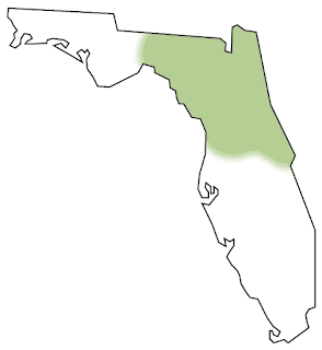 Map of Location of the Timucuan Tribes in Florida