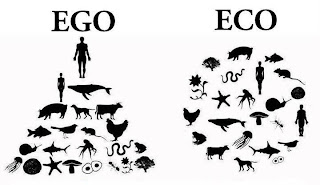 Ego X Eco.