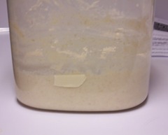 salt-rising-bread 010