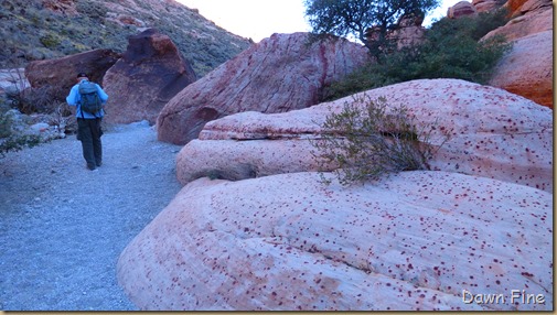 Candy cane and polka dot hike again_134