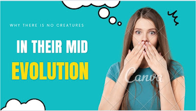 Why-their-is-no-creatures-in-mid-evolution