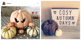 Pumpkin display