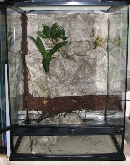 Background Terrarium2