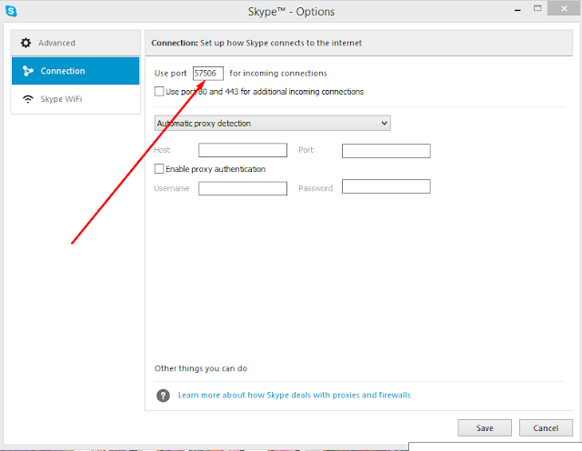 Use skype and local server on same time