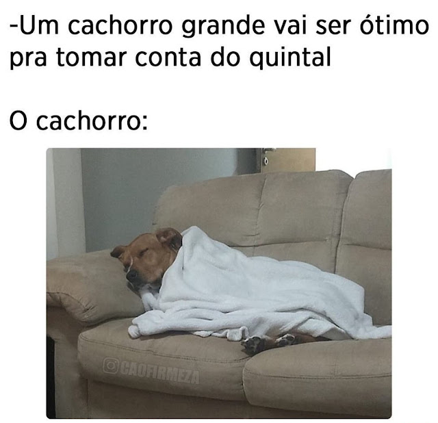 Memes engraçados