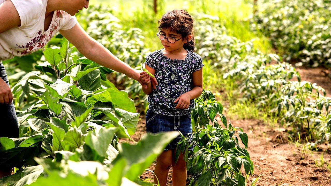 How To Start A Vegetable And Fruit Garden