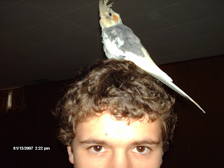 Look! A birdie on my head. What shall I do?