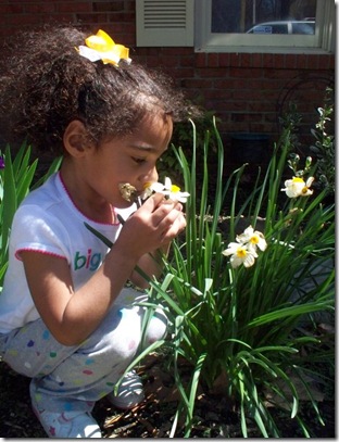kflowers