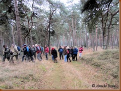 op pad met de boswachter in het Wekeromse Zand