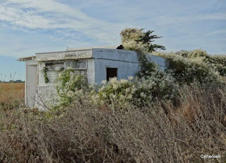 urbex-caravane-oubliée-jpg